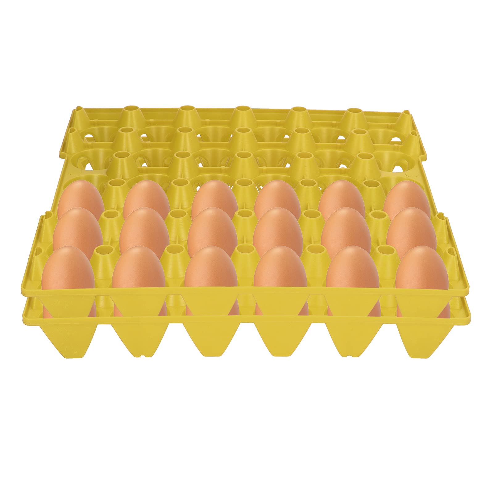 61icquD8k5L